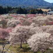 ヒメ日記 2026/03/24 12:02 投稿 ゆず 三重四日市ちゃんこ