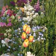 ヒメ日記 2026/04/09 15:21 投稿 ゆず 三重四日市ちゃんこ