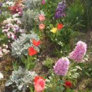 ゆず ついさっきの出来事😊（笑） 三重四日市ちゃんこ