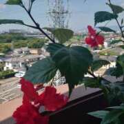 ヒメ日記 2026/07/17 10:21 投稿 ゆず 三重四日市ちゃんこ
