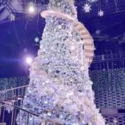 ヒメ日記 2025/12/08 19:01 投稿 諸星さら 乳ビーナス(New Venus)