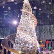 ヒメ日記 2025/12/25 10:39 投稿 諸星さら 乳ビーナス(New Venus)