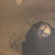 ゆの 11月ありがとう ファーストレディー