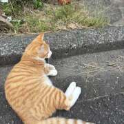 ヒメ日記 2025/11/19 14:39 投稿 真夏(まな) あなたの妻