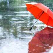 ヒメ日記 2025/07/04 23:00 投稿 くらら 出会い系人妻ネットワーク 春日部〜岩槻編