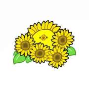 ヒメ日記 2025/07/28 13:31 投稿 なつか 妊婦母乳風俗専門店ミルクランド