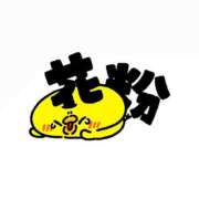ヒメ日記 2026/02/24 21:56 投稿 なつか 妊婦母乳風俗専門店ミルクランド