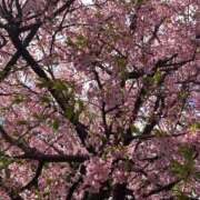 りえ 春〜！🌸 学園collection