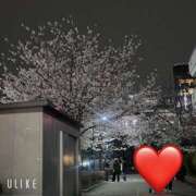 ヒメ日記 2026/03/31 20:14 投稿 さき 新橋フェアリーズ