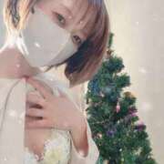 日葵(ひまり) 本日も PLUS難波店