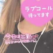 ヒメ日記 2024/12/19 15:53 投稿 せりな 横浜シンデレラ（シンデレラグループ）