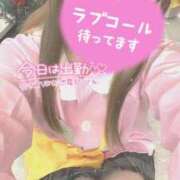 ヒメ日記 2024/12/21 12:52 投稿 せりな 横浜シンデレラ（シンデレラグループ）