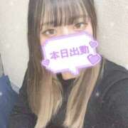 ヒメ日記 2025/01/25 06:43 投稿 せりな 横浜シンデレラ（シンデレラグループ）