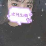 ヒメ日記 2025/02/12 12:15 投稿 せりな 横浜シンデレラ（シンデレラグループ）