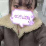 ヒメ日記 2025/03/03 13:21 投稿 せりな 横浜シンデレラ（シンデレラグループ）