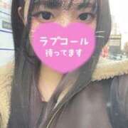 ヒメ日記 2025/03/30 15:05 投稿 せりな 横浜シンデレラ（シンデレラグループ）