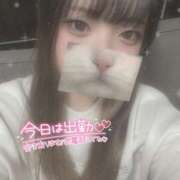 ヒメ日記 2025/04/18 11:16 投稿 せりな 横浜シンデレラ（シンデレラグループ）