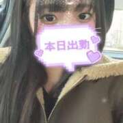 ヒメ日記 2025/11/16 12:15 投稿 せりな 横浜シンデレラ（シンデレラグループ）