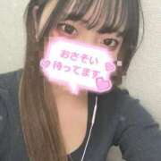 せりな 事前予約ありがとう? 横浜シンデレラ（シンデレラグループ）