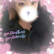 ヒメ日記 2025/03/20 07:03 投稿 すず 横浜シンデレラ（シンデレラグループ）