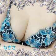 ヒメ日記 2025/04/01 11:21 投稿 なぎさ MOTHER(旧ママとおねえさん)