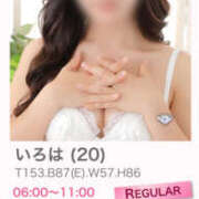 ヒメ日記 2025/11/14 21:51 投稿 いろは ビギナーズ神戸