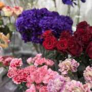 ヒメ日記 2025/11/27 17:21 投稿 いろは ビギナーズ神戸