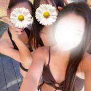 ヒメ日記 2025/12/04 13:51 投稿 いろは ビギナーズ神戸