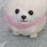 ヒメ日記 2025/04/29 10:10 投稿 りか 脱がされたい人妻 春日部店