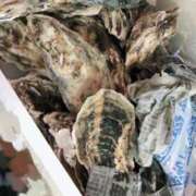 ヒメ日記 2025/05/31 13:41 投稿 るなん 奥様特急長岡店