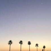 ヒメ日記 2025/07/22 14:01 投稿 るなん 奥様特急長岡店