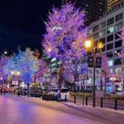 ヒメ日記 2025/09/12 17:21 投稿 るなん 奥様特急長岡店