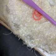 ヒメ日記 2025/10/26 15:41 投稿 るなん 奥様特急長岡店