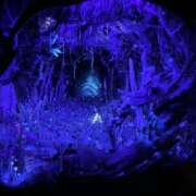 ヒメ日記 2025/11/17 22:21 投稿 るなん 奥様特急長岡店