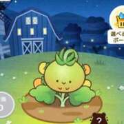 ヒメ日記 2026/02/12 19:21 投稿 るなん 奥様特急長岡店