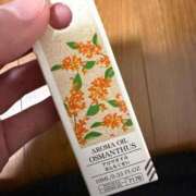 ヒメ日記 2026/02/13 17:01 投稿 るなん 奥様特急長岡店