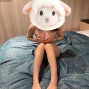 ヒメ日記 2026/04/13 11:41 投稿 るなん 奥様特急長岡店