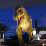 ヒメ日記 2026/04/16 23:21 投稿 るなん 奥様特急長岡店