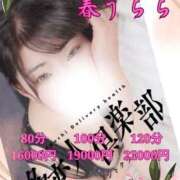 ヒメ日記 2025/04/07 13:01 投稿 つぼみ 多恋人倶楽部　宇部店