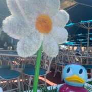 ヒメ日記 2025/04/26 22:02 投稿 つぼみ 多恋人倶楽部　宇部店