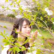 ヒメ日記 2025/03/25 08:04 投稿 Shiori LUXURY（ラグジュアリー）