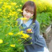 ヒメ日記 2025/12/01 08:45 投稿 Shiori LUXURY（ラグジュアリー）