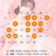 ヒメ日記 2026/03/25 23:40 投稿 Shiori LUXURY（ラグジュアリー）