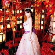 ヒメ日記 2026/04/11 14:15 投稿 Shiori LUXURY（ラグジュアリー）