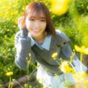 ヒメ日記 2026/05/07 12:17 投稿 Shiori LUXURY（ラグジュアリー）