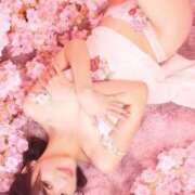ヒメ日記 2026/05/18 12:06 投稿 Shiori LUXURY（ラグジュアリー）