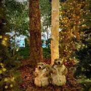 ヒメ日記 2025/11/19 10:16 投稿 けいか ハピネス東京 吉原店