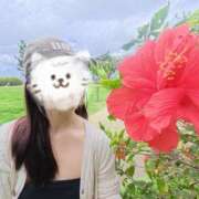 ヒメ日記 2026/03/08 11:16 投稿 けいか ハピネス東京 吉原店