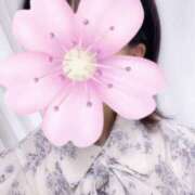 ヒメ日記 2025/04/13 09:03 投稿 ミライ【マダムコース】 秘密の出張部屋