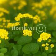 ヒメ日記 2025/12/05 18:23 投稿 ミライ【マダムコース】 秘密の出張部屋